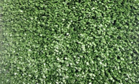 门球场专用卷曲草(不充砂) 　　门球场专用网丝草(充砂) 　　一、门球介绍 　　门球起源于法国，