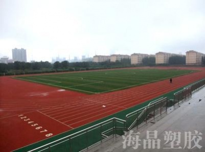 邹平县梁邹小学塑胶跑道